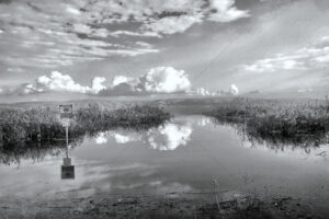 The World In Black And White 6" x 4" Photo Print