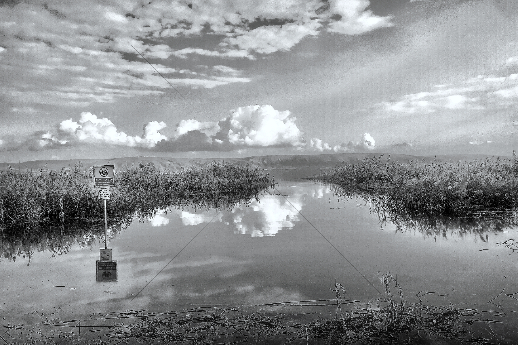 The World In Black And White 6" x 4" Photo Print