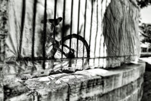 The World In Black And White 6" x 4" Photo Print