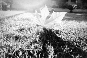 The World In Black And White 6" x 4" Photo Print