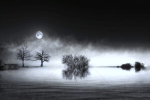 The World In Black And White 6" x 4" Photo Print