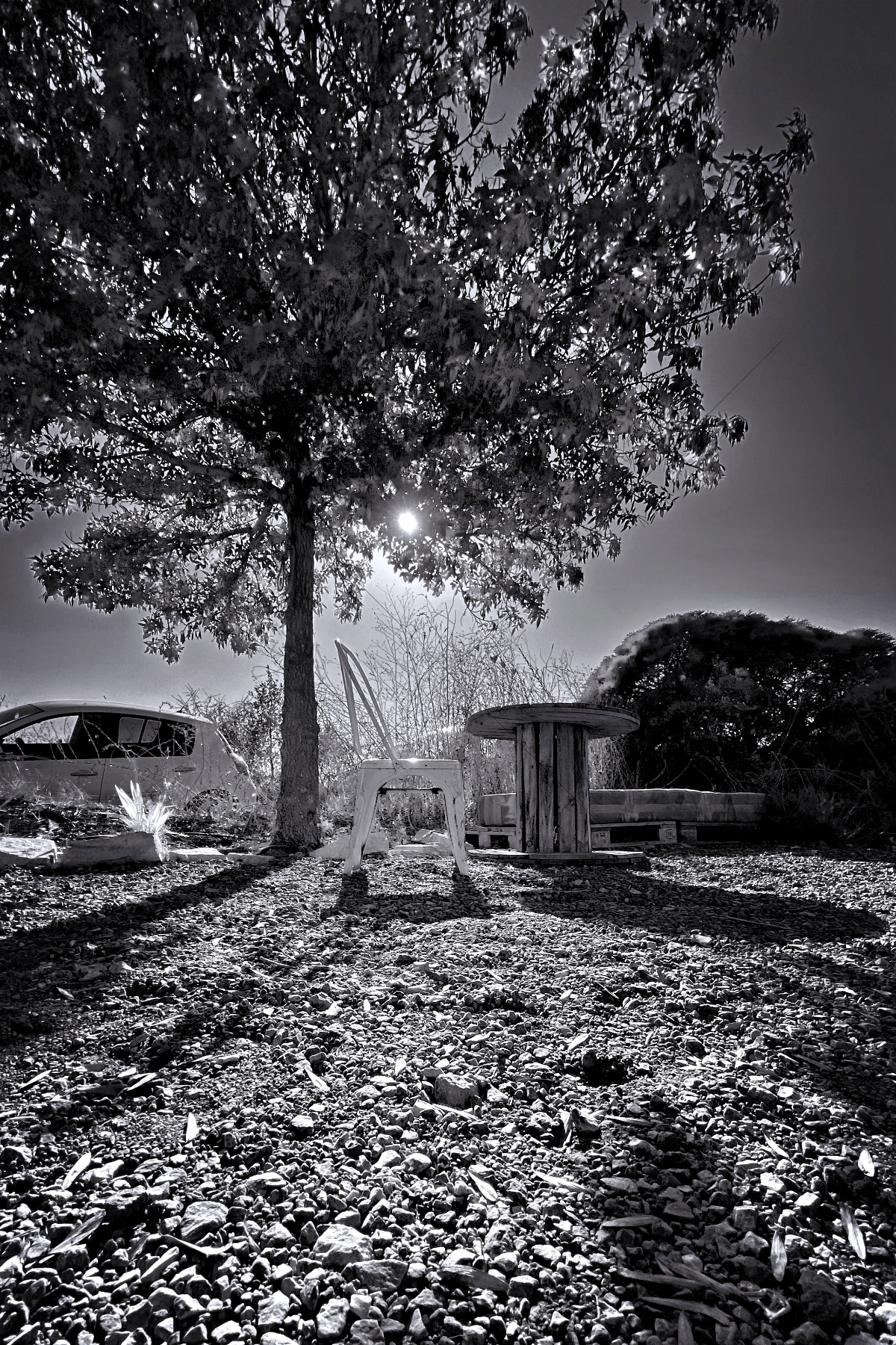 The World In Black And White 6" x 4" Photo Print