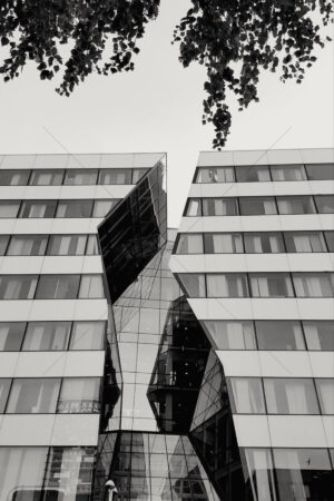 The World In Black And White 6" x 4" Photo Print