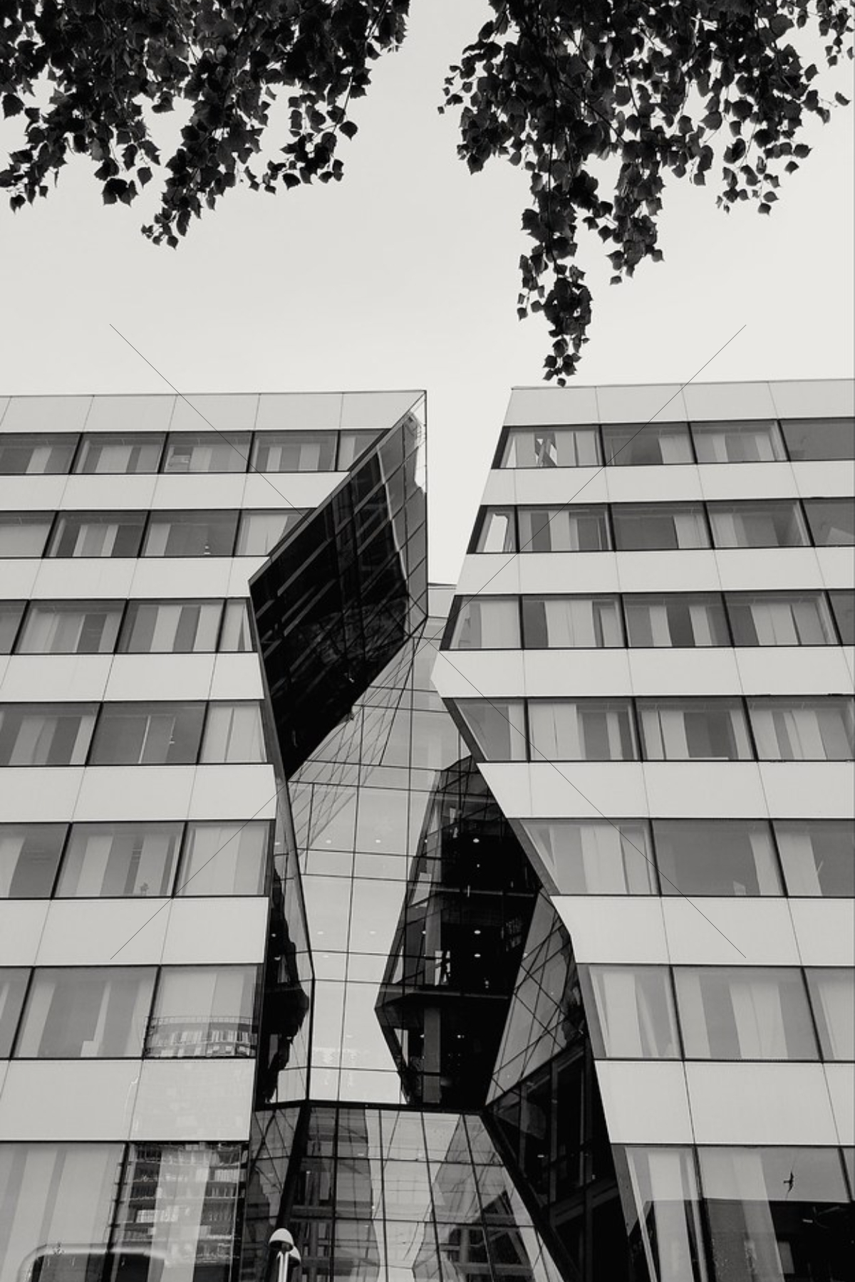 The World In Black And White 6" x 4" Photo Print