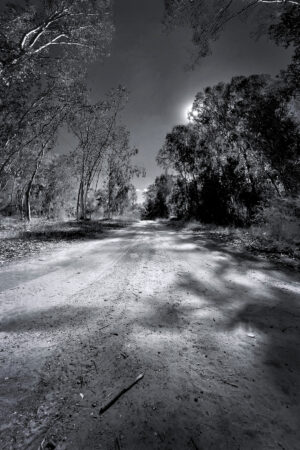 The World In Black And White  6" x 4" Photo Print