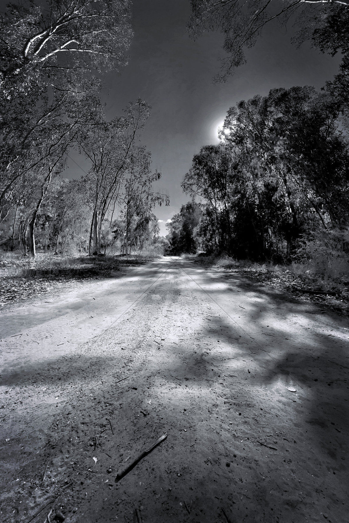 The World In Black And White 6" x 4" Photo Print