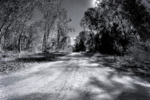 The World In Black And White  6" x 4" Photo Print