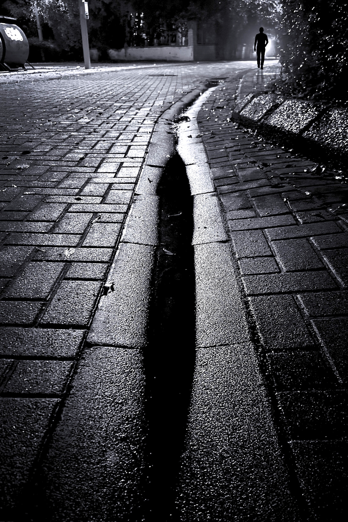 The World In Black And White 6" x 4" Photo Print