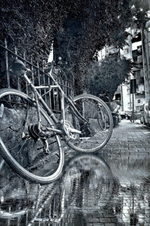 The World In Black And White  6" x 4" Photo Print