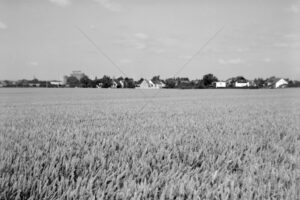 The World In Black And White  6" x 4" Photo Print