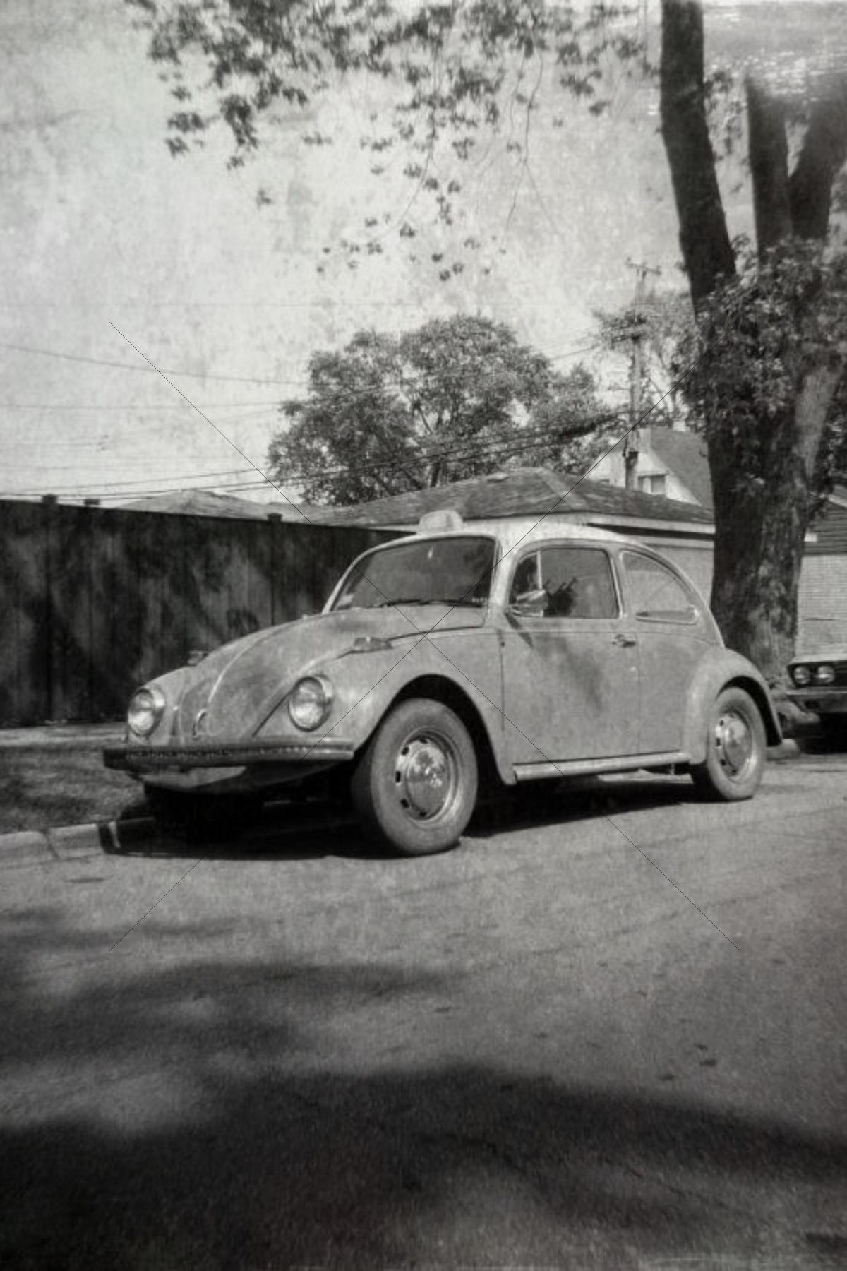 The World In Black And White 6" x 4" Photo Print