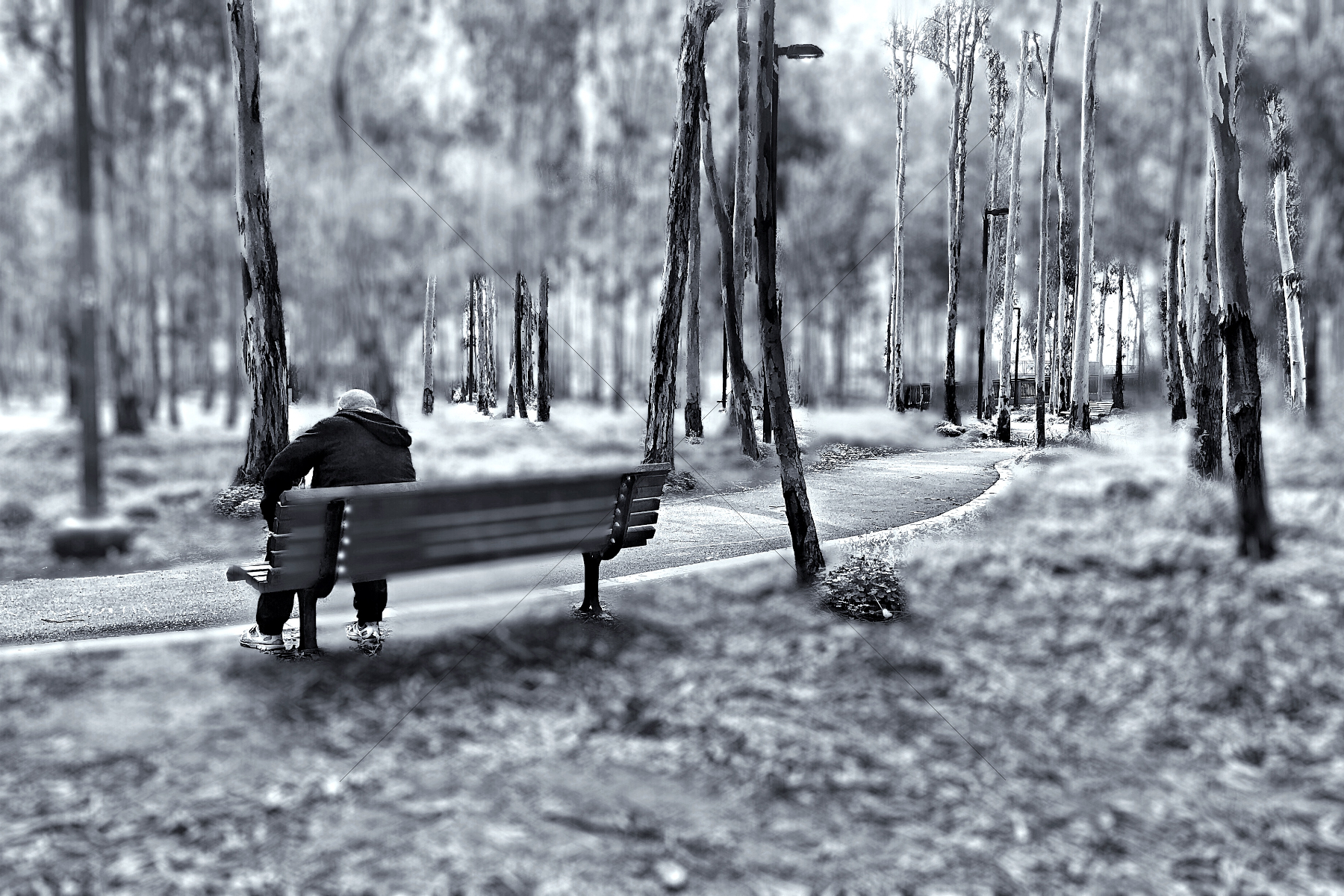 The World In Black And White 6" x 4" Photo Print