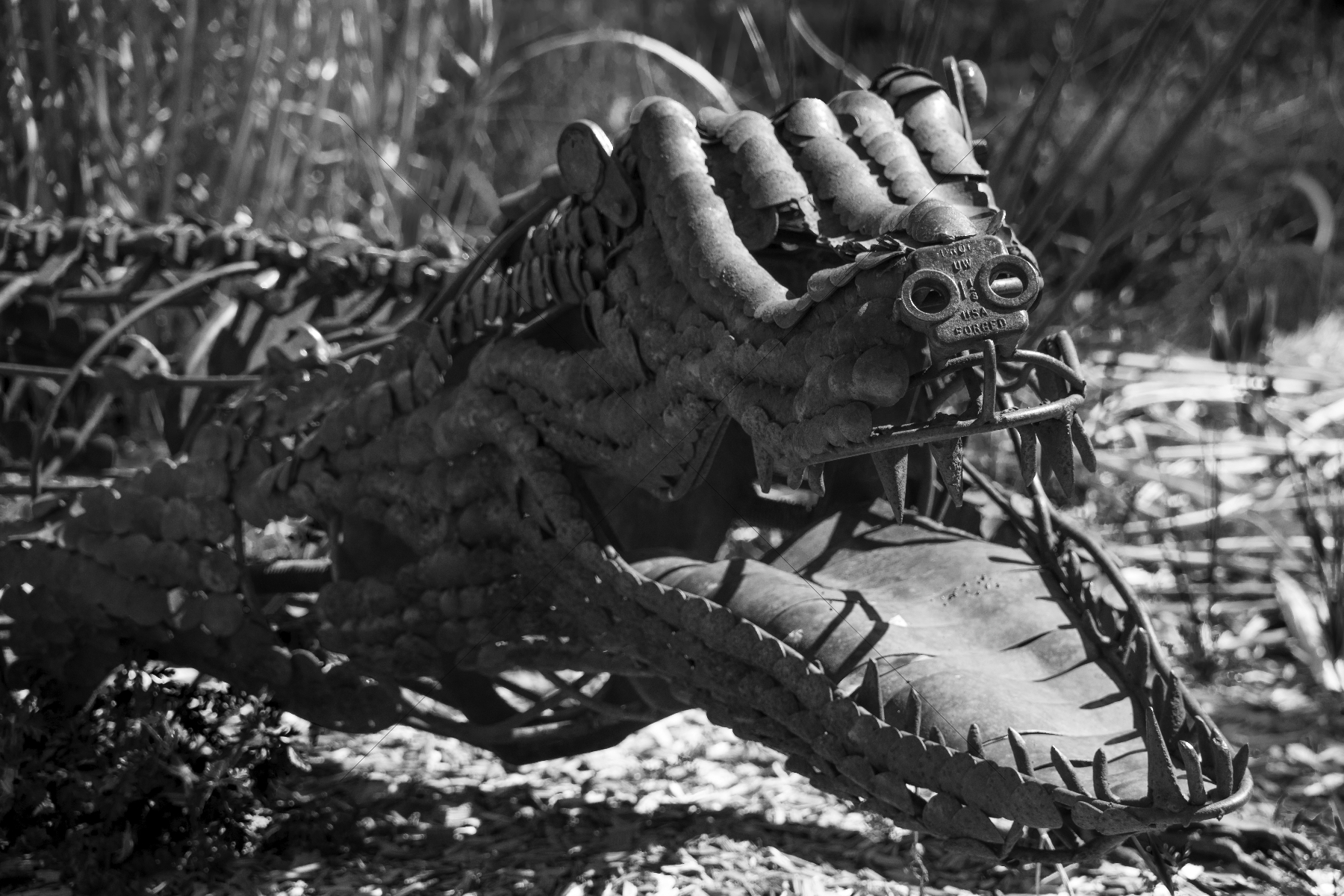 The World In Black And White 6" x 4" Photo Print