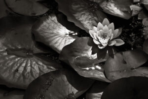 The World In Black And White  6" x 4" Photo Print