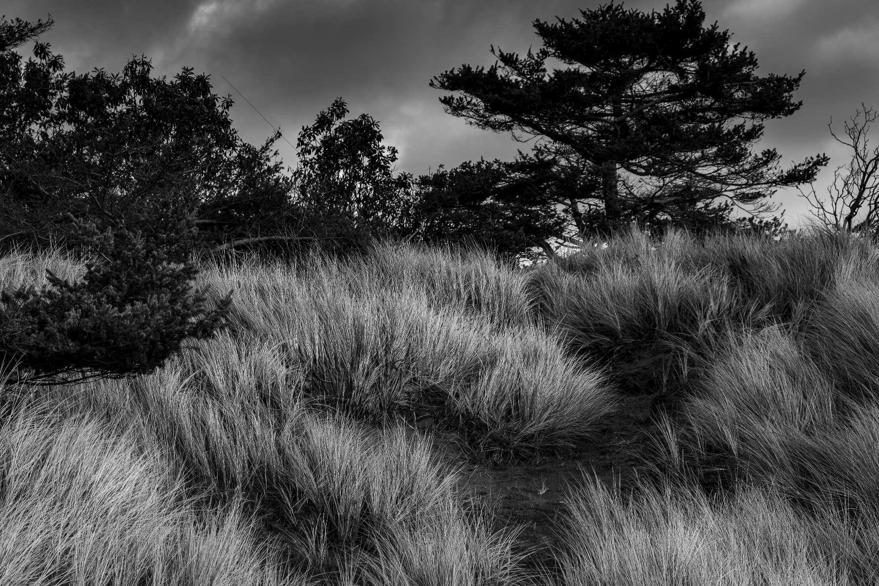 The World In Black And White 6" x 4" Photo Print