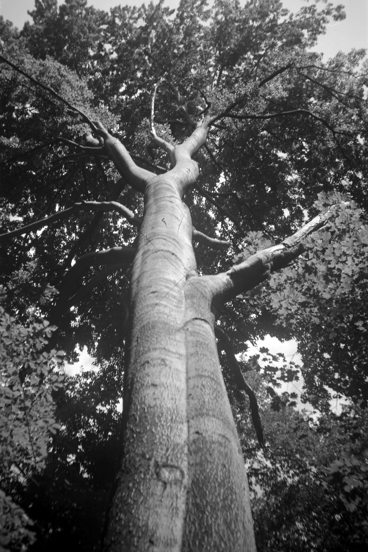 The World In Black And White 6" x 4" Photo Print