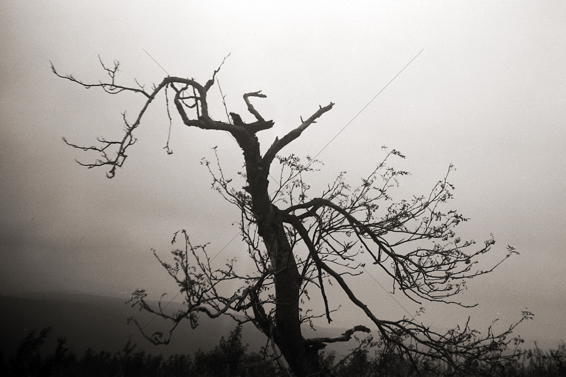 The World In Black And White 6" x 4" Photo Print