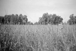 The World In Black And White  6" x 4" Photo Print