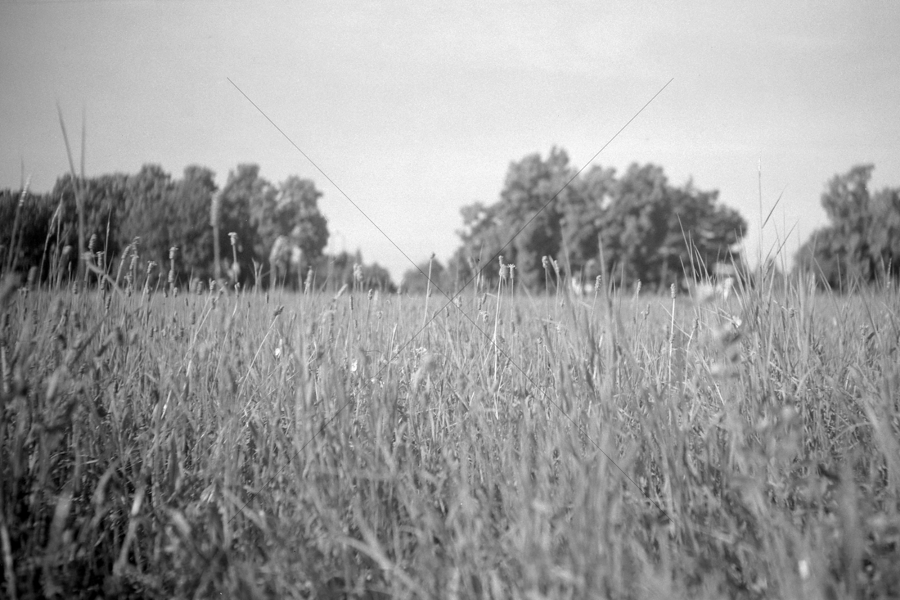 The World In Black And White 6" x 4" Photo Print