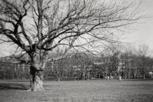 The World In Black And White  6" x 4" Photo Print