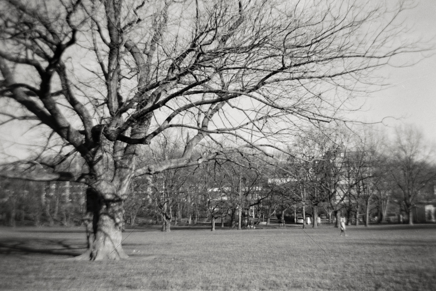 The World In Black And White 6" x 4" Photo Print