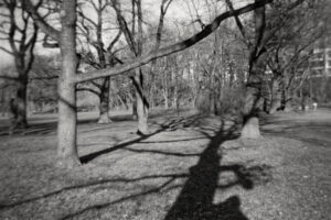 The World In Black And White  6" x 4" Photo Print