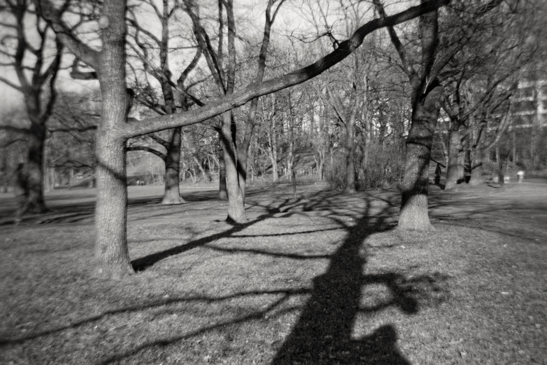 The World In Black And White 6" x 4" Photo Print