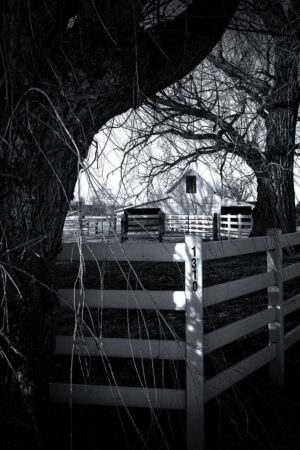 The World In Black And White  6" x 4" Photo Print