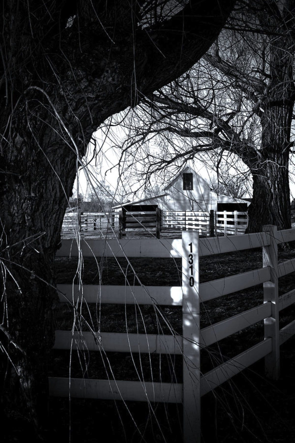 The World In Black And White 6" x 4" Photo Print