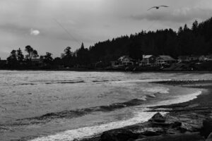 The World In Black And White  6" x 4" Photo Print