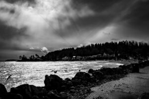 The World In Black And White  6" x 4" Photo Print