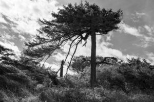 The World In Black And White  6" x 4" Photo Print