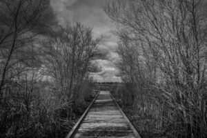 The World In Black And White  6" x 4" Photo Print