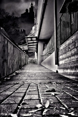 The World In Black And White  6" x 4" Photo Print