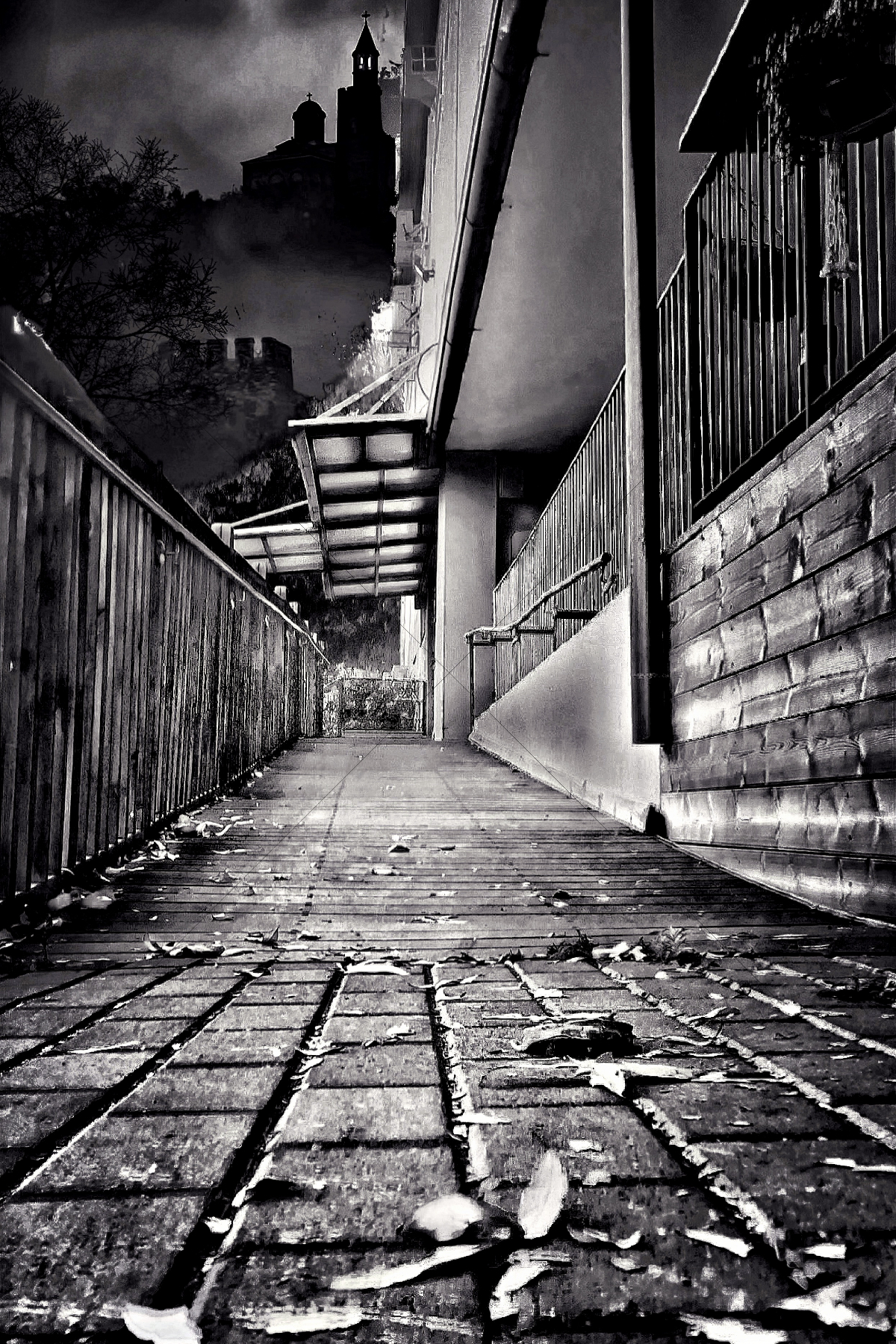 The World In Black And White 6" x 4" Photo Print