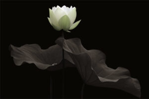 The World In Black And White  6" x 4" Photo Print