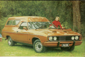 Falcon Panel Van 6" x 4" Photo Print