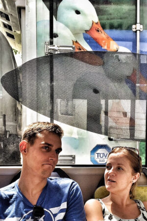 How About Roast Duck For Dinner 6" x 4" Photo Print