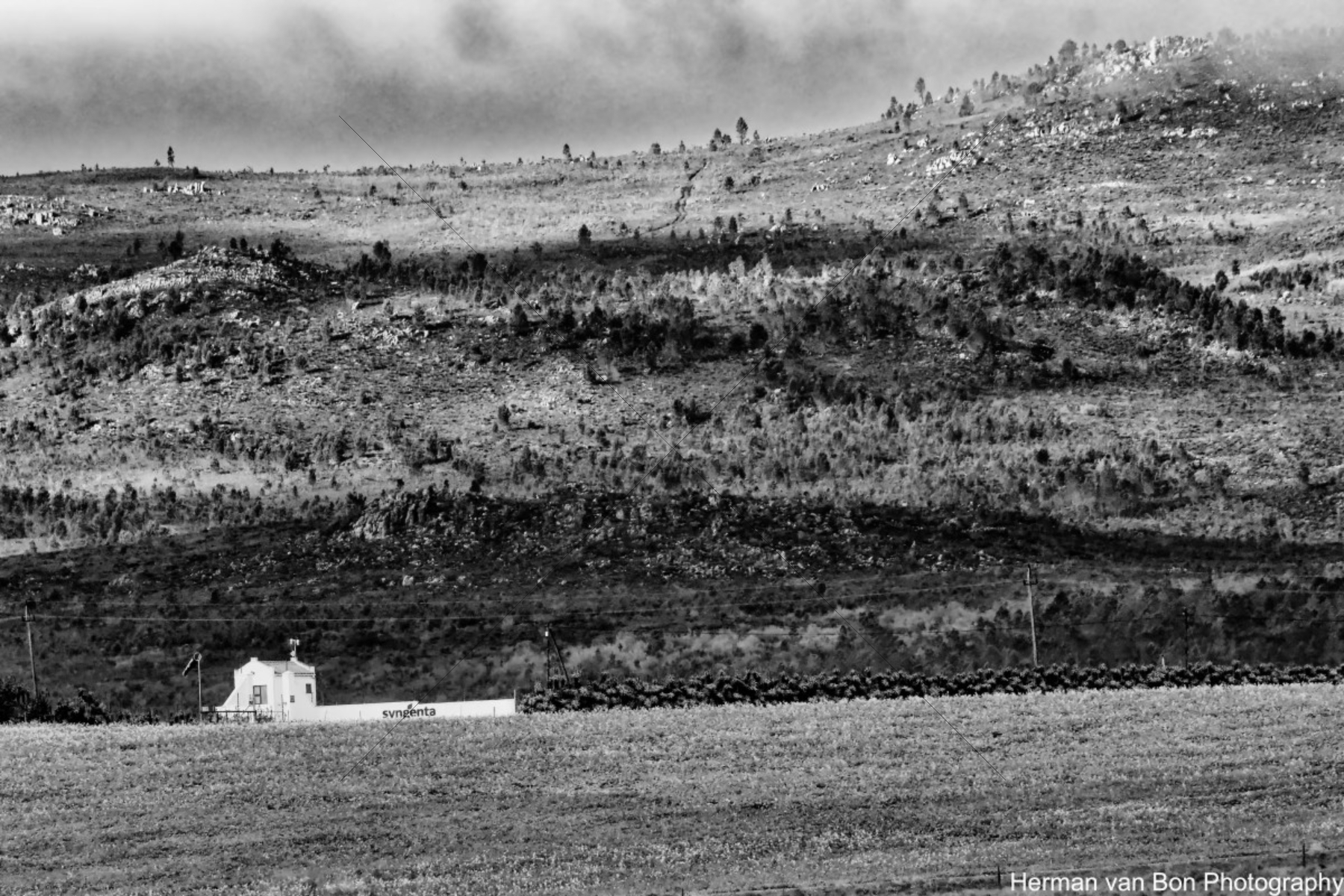 The World In Black And White 6" x 4" Photo Print