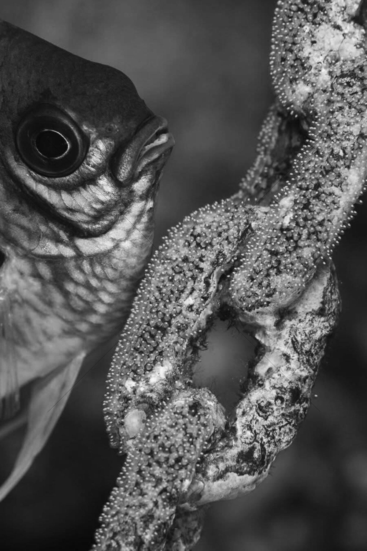 The World In Black And White 6" x 4" Photo Print