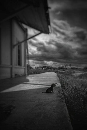 The World In Black And White 6" x 4" Photo Print