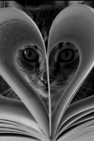 The World In Black And White 6" x 4" Photo Print