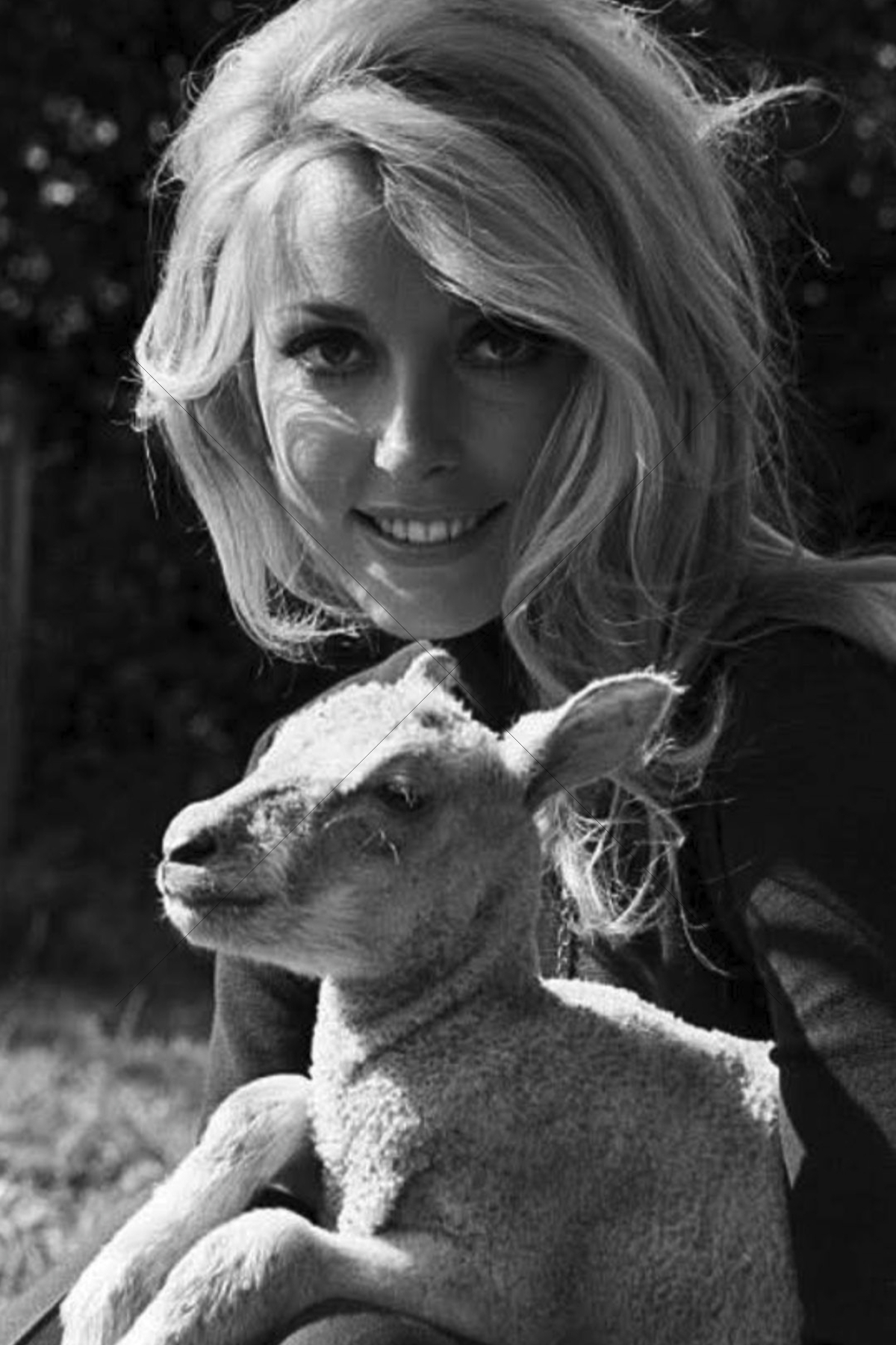 The World In Black And White 6" x 4" Photo Print