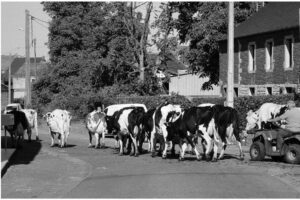The World In Black And White 6" x 4" Photo Print