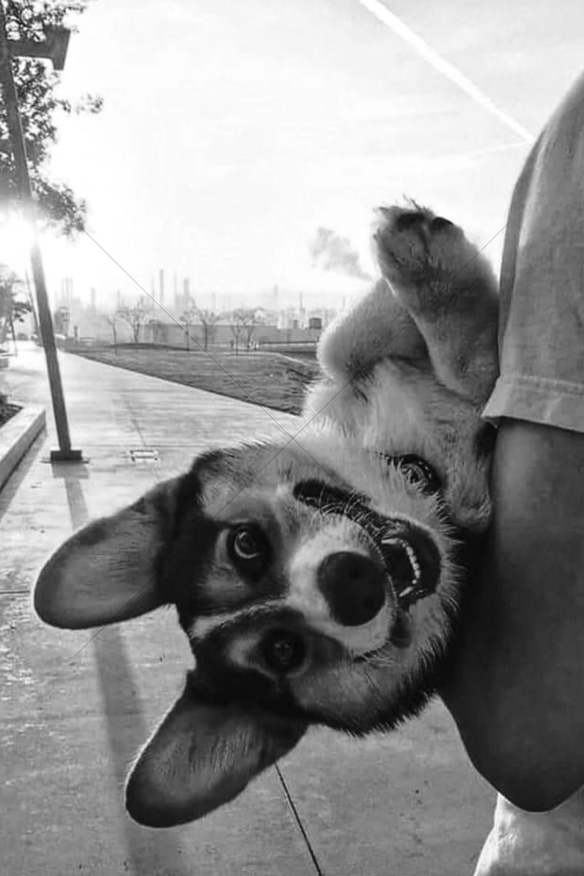 The World In Black And White 6" x 4" Photo Print