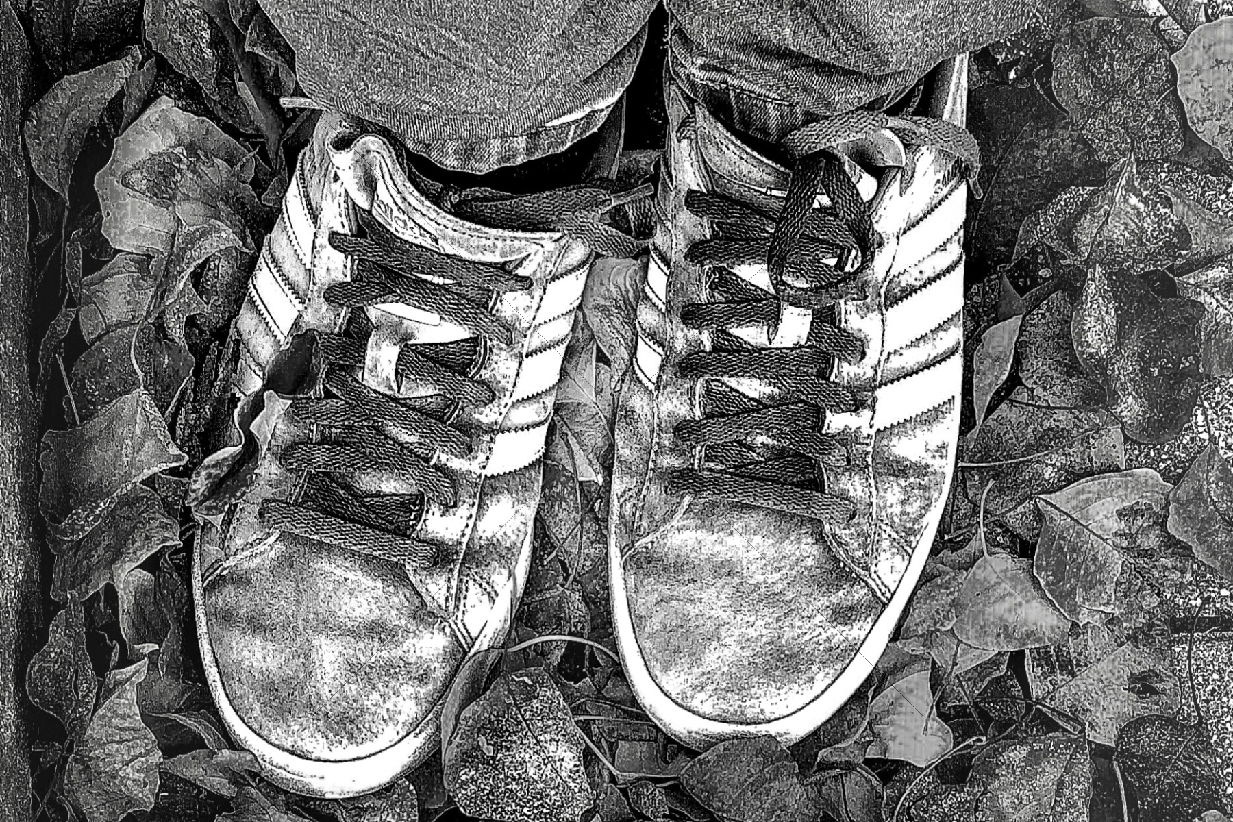 The World In Black And White 6" x 4" Photo Print