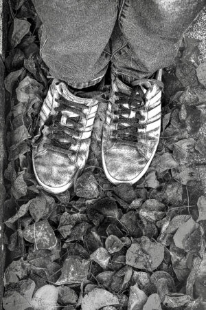 The World In Black And White 6" x 4" Photo Print