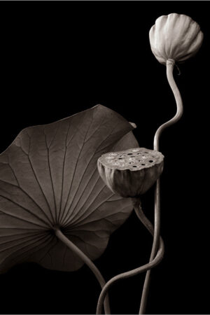 The World In Black And White 6" x 4" Photo Print