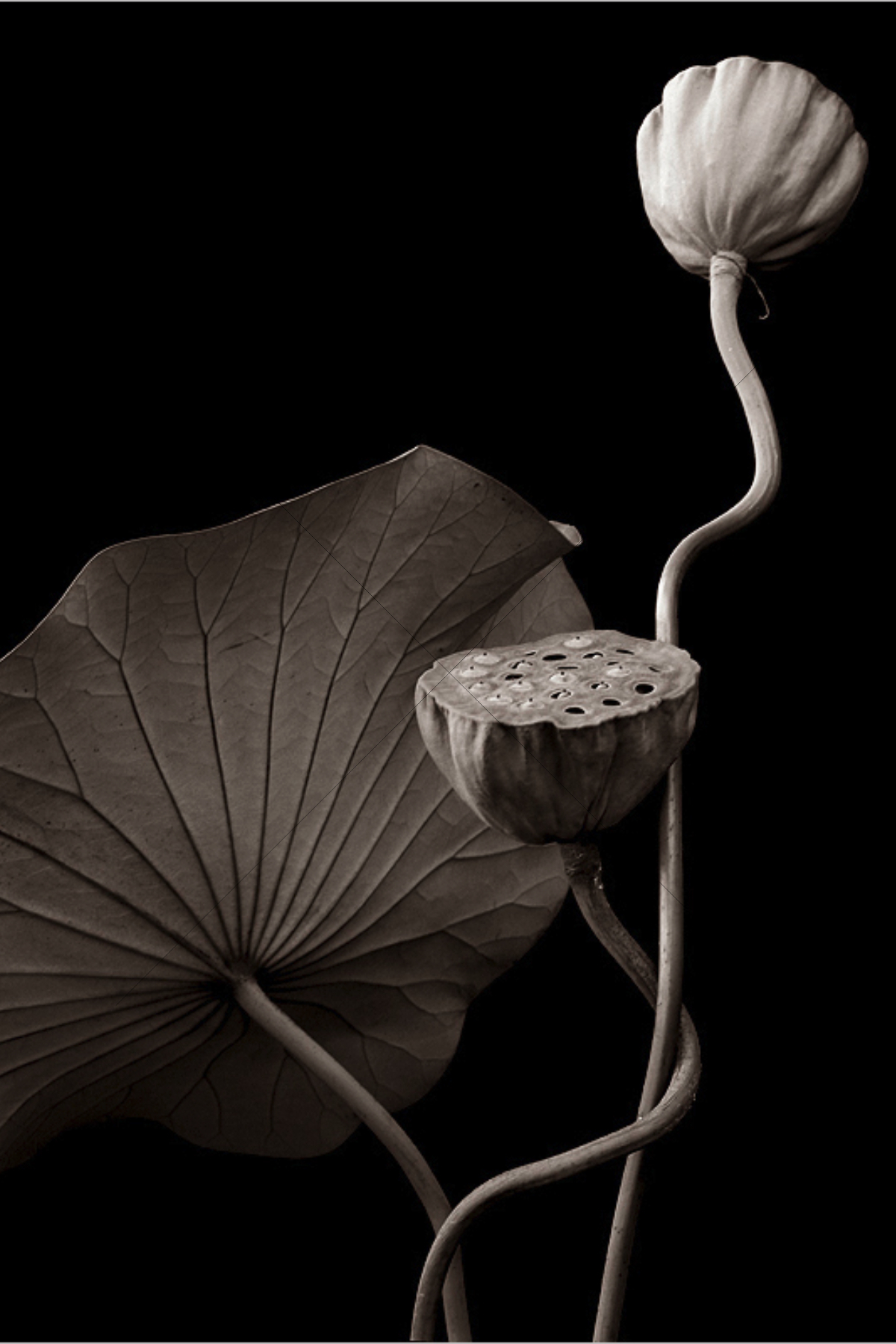 The World In Black And White 6" x 4" Photo Print