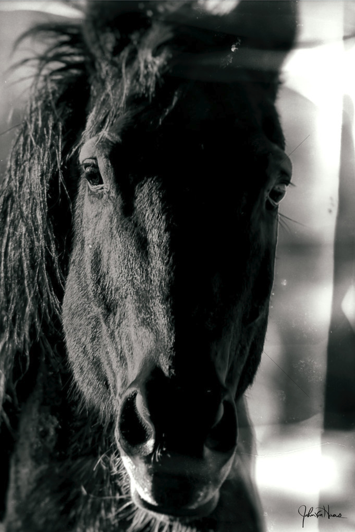 The World In Black And White 6" x 4" Photo Print